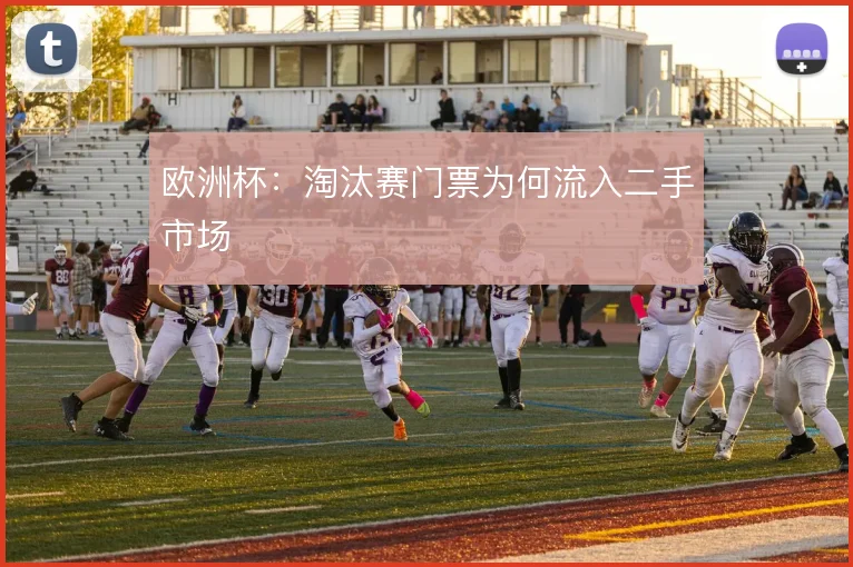 欧洲杯：淘汰赛门票为何流入二手市场